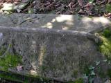image of grave number 29900
